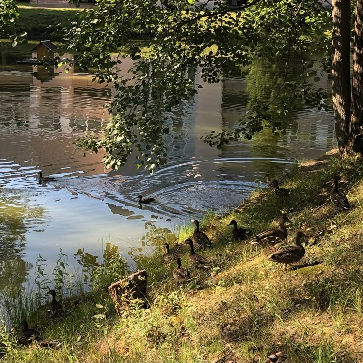 #романтика #любовь #студенты #зависть #май