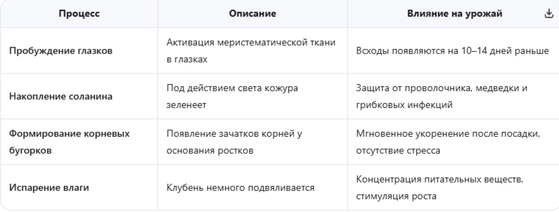Физиологические изменения при проращивании