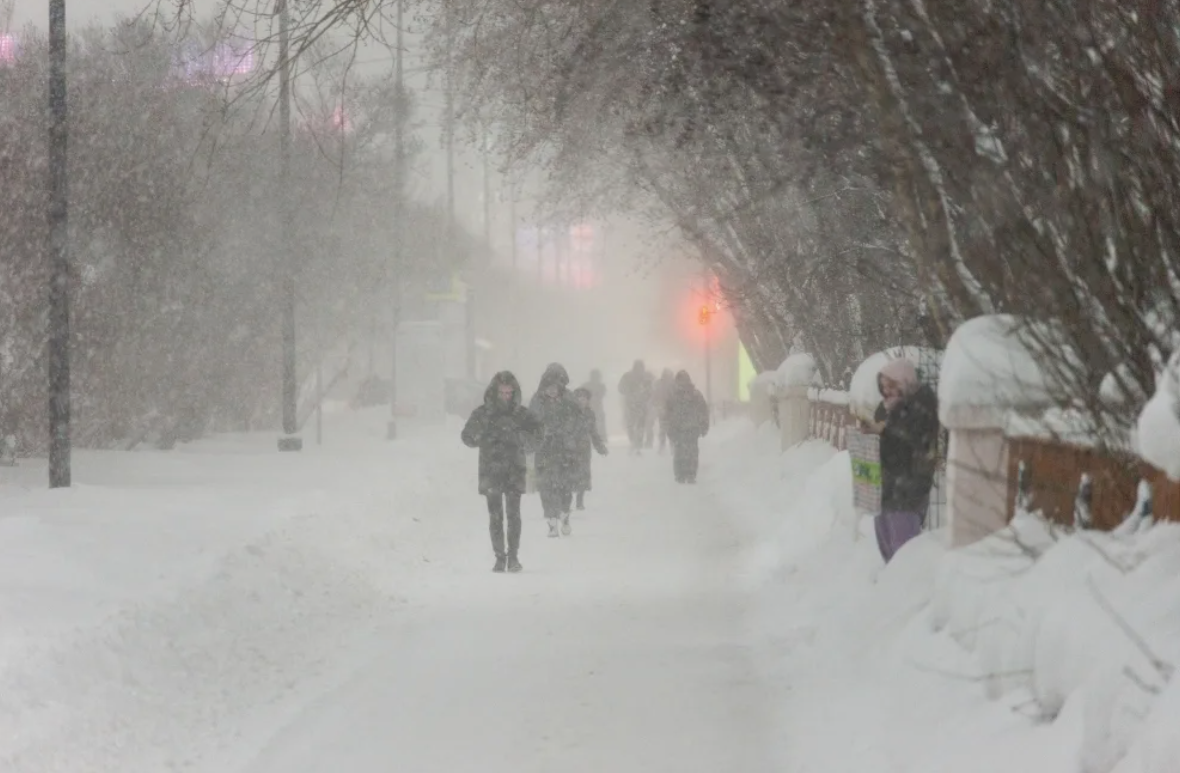 Фото из открытых источников