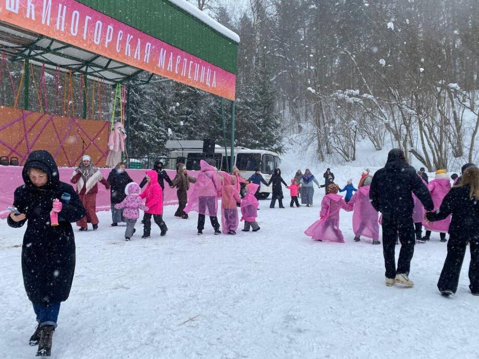 Празднование Масленицы в Пушкинских Горах собрало 1 200 гостей
Фото: Пушкинские горы | Горы вдохновения
