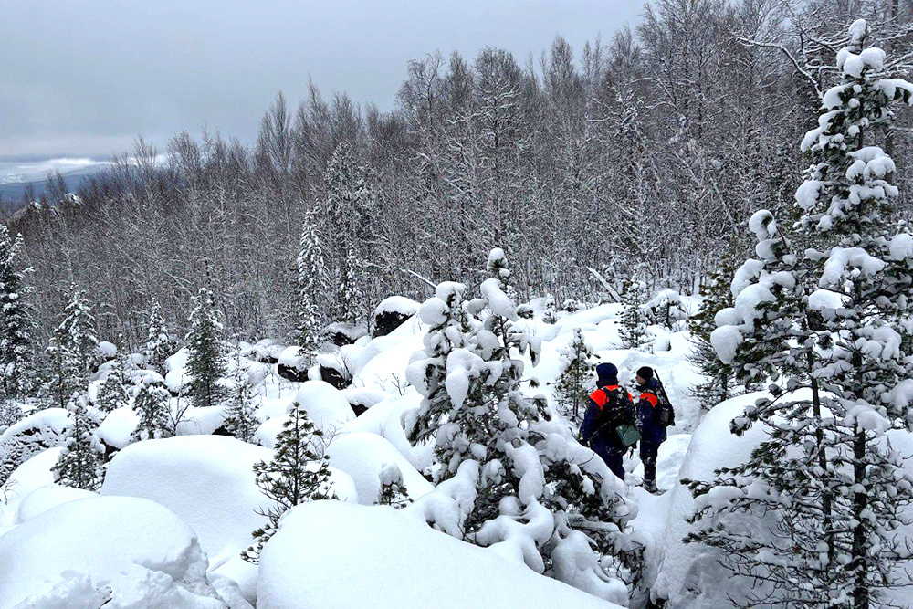    © ДПСО "ЛизаАлерт" Красноярского края