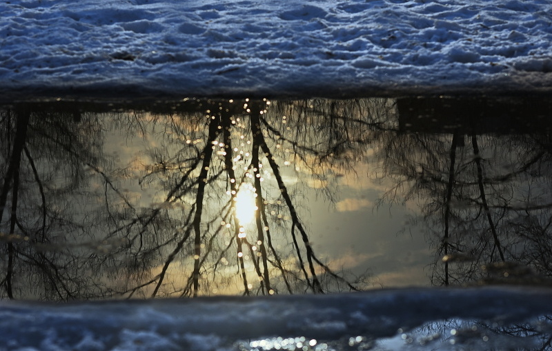    Фото: Олег Рукавицын