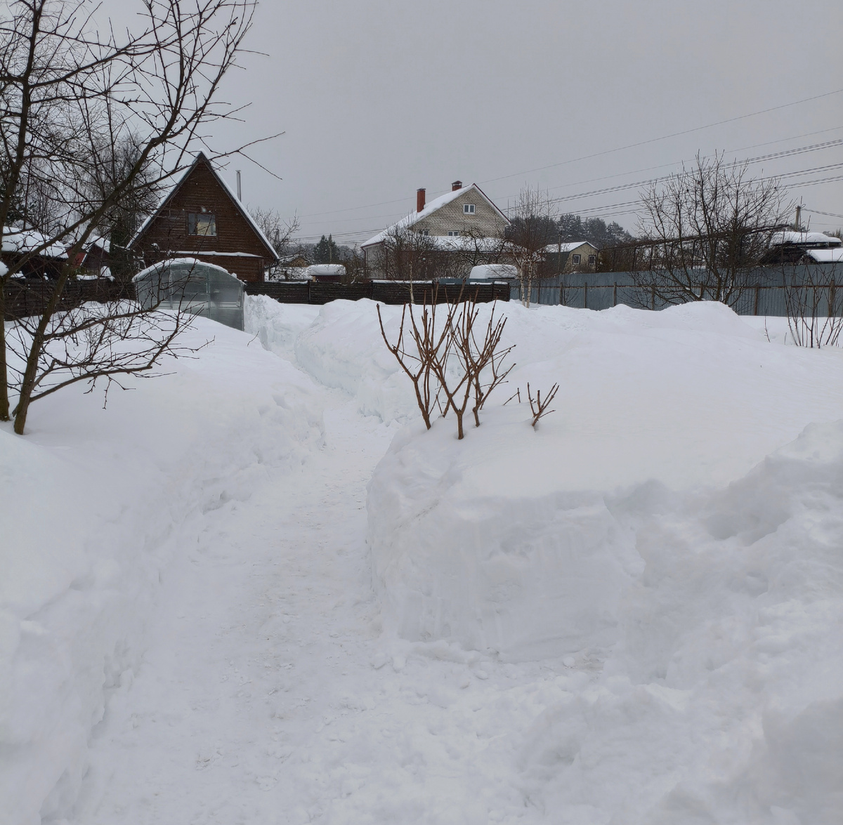 28 февраля 2026 года.