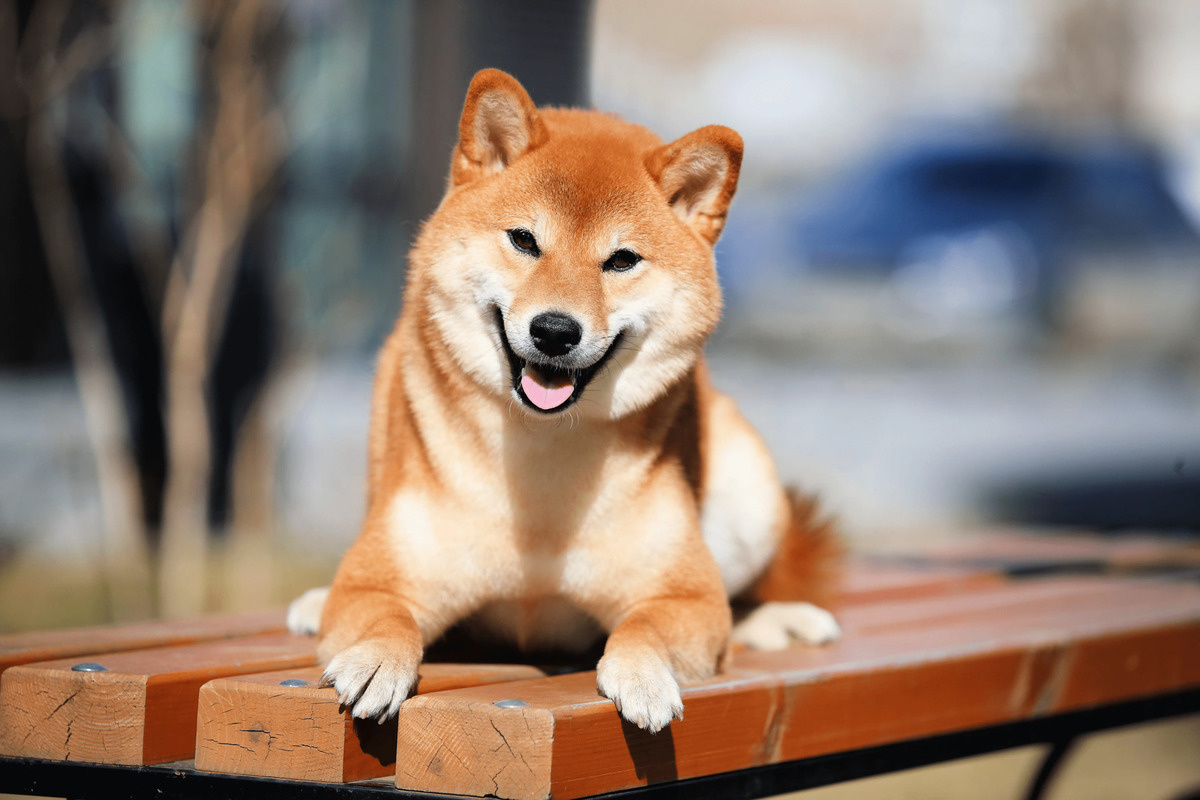 Изображение взято с сайта iStock