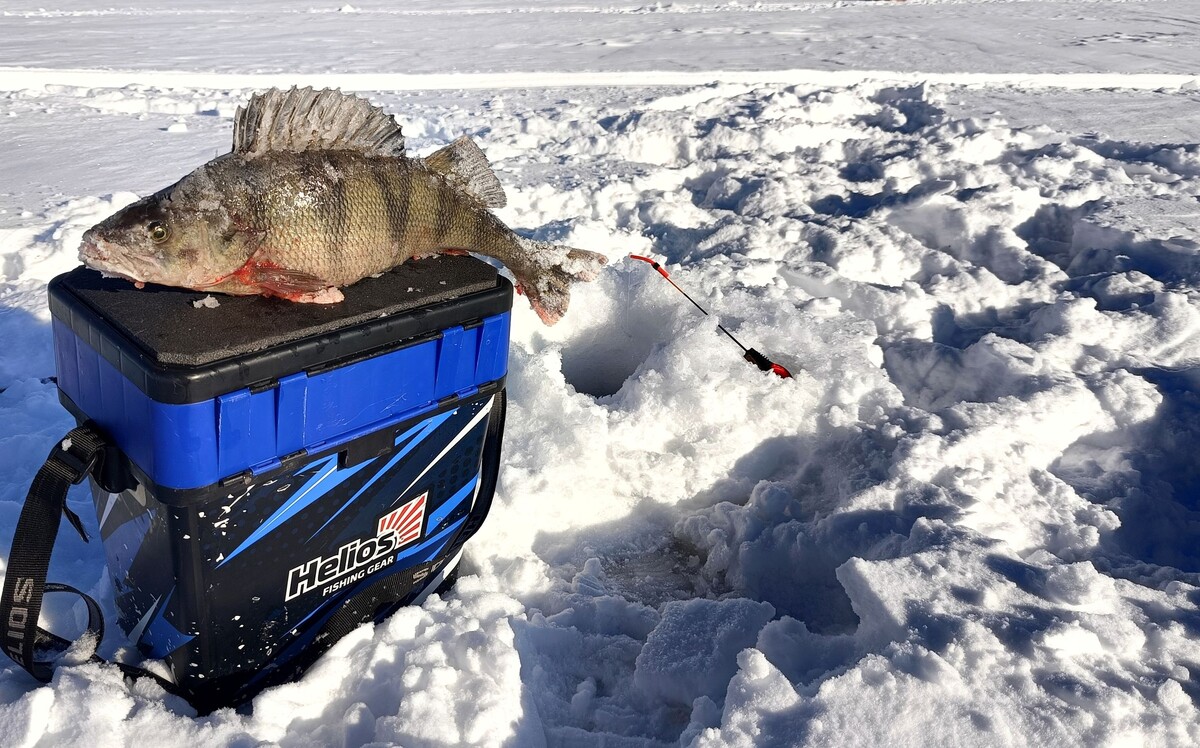    фото: © Евгений Белянчиков