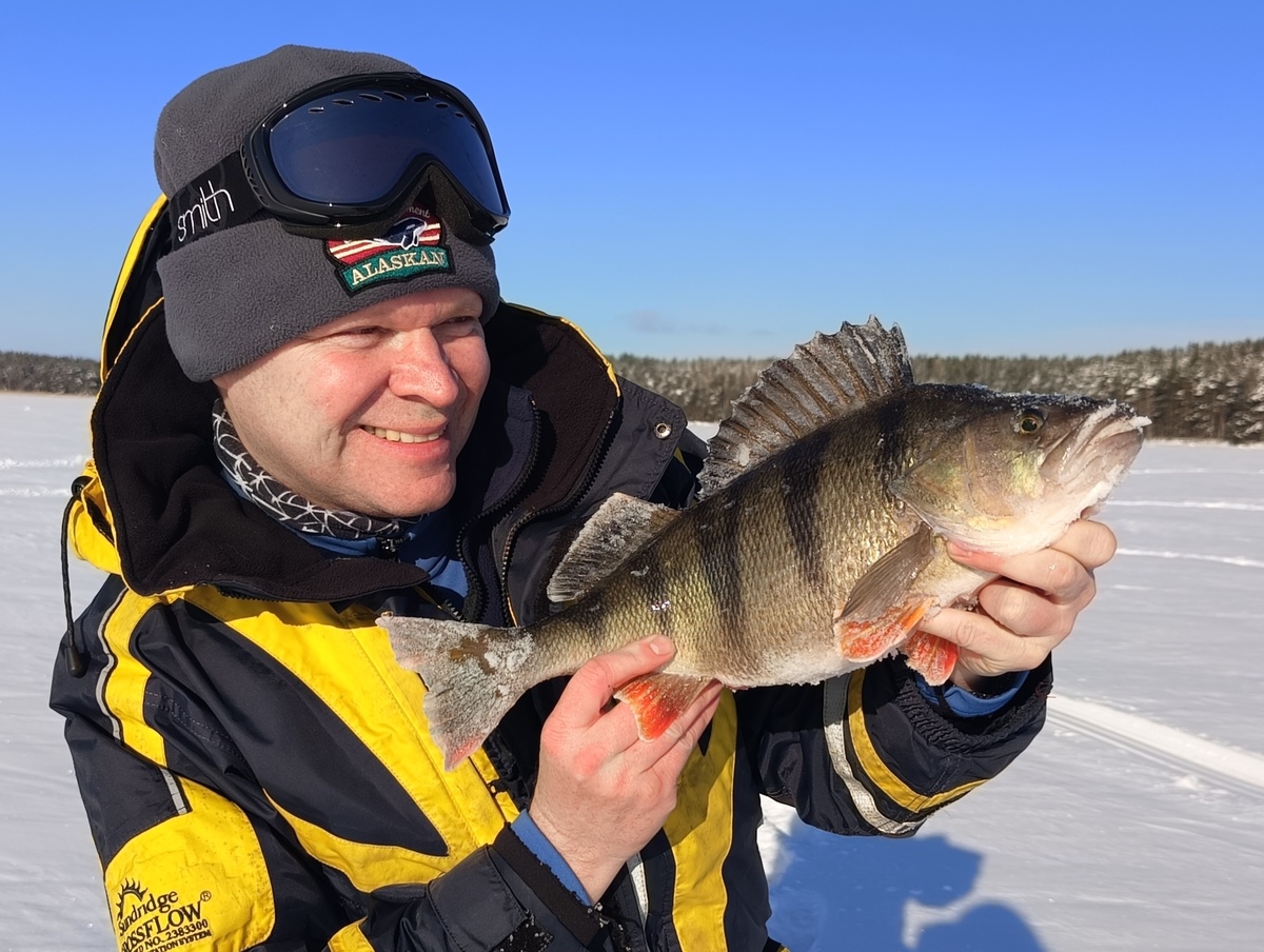    Почти двухкилограммового окуня поймали в Сямозере на блесну© Евгений Белянчиков