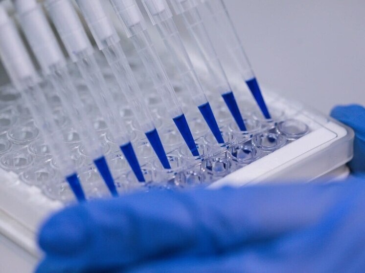     Фото: пресс-служба БФУ им. Канта в Калининграде.