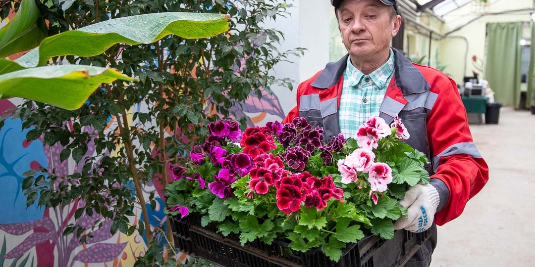 История ботанического сада в Волжском началась с указа Логинова