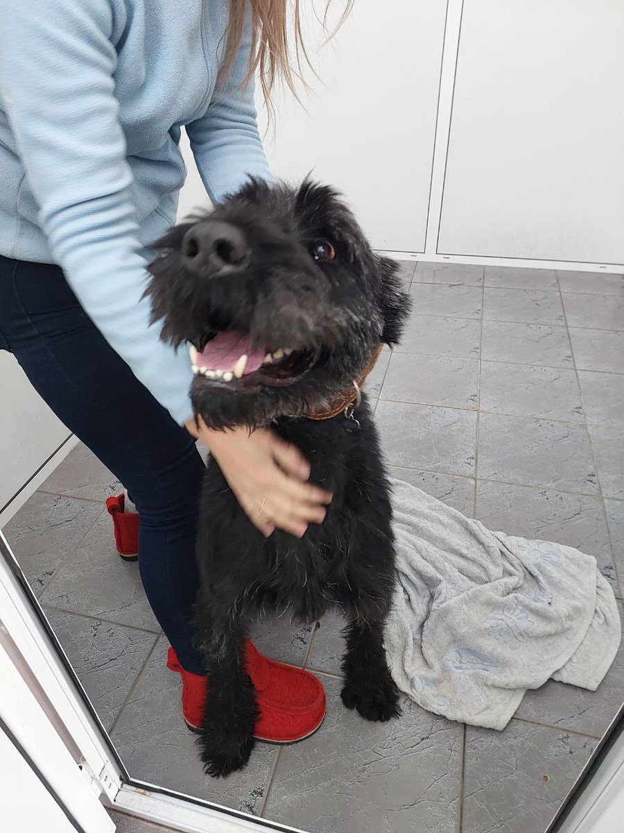 Герман в клинике