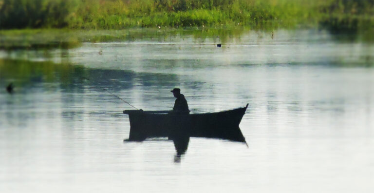    фото: wikimedia.org/Monoklon/CC BY-SA 4.0 Роман Котлов