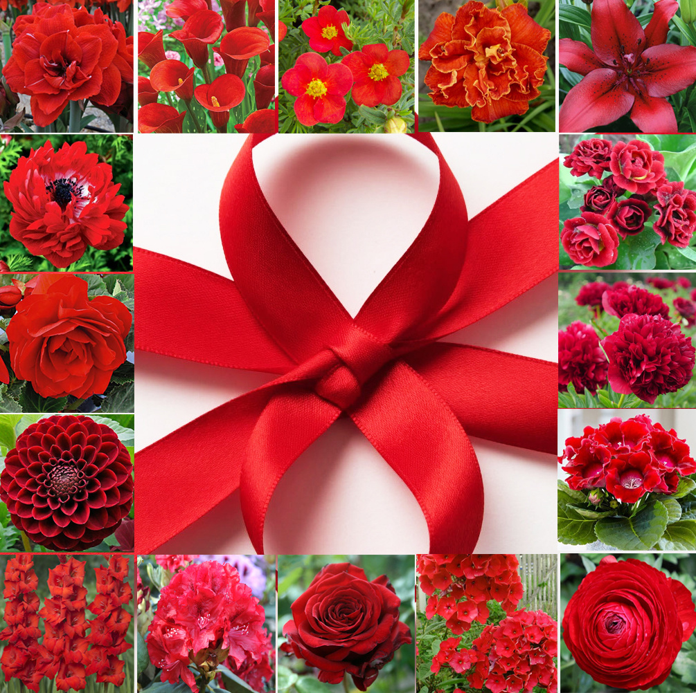 Подарок 8 Марта