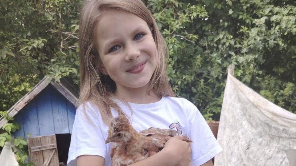 «Вышла гулять с собакой и не вернулась»: 9-летняя девочка Саша загадочно пропала в Смоленске