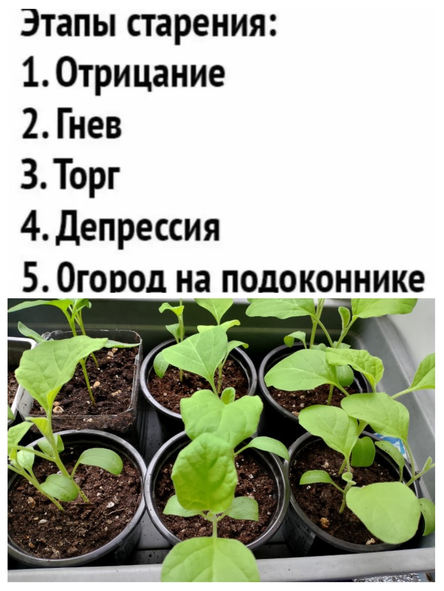 Как-то так 😁