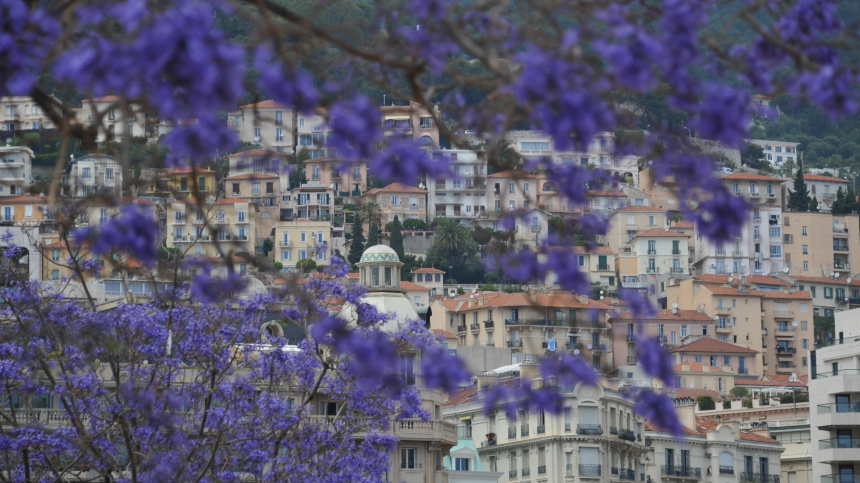    Фото: ИЗВЕСТИЯ/СПОРТ-ЭКСПРЕСС/Александр Федоров