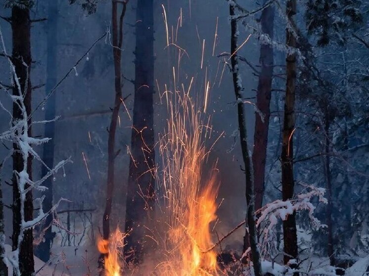     Фото: Нейросеть
