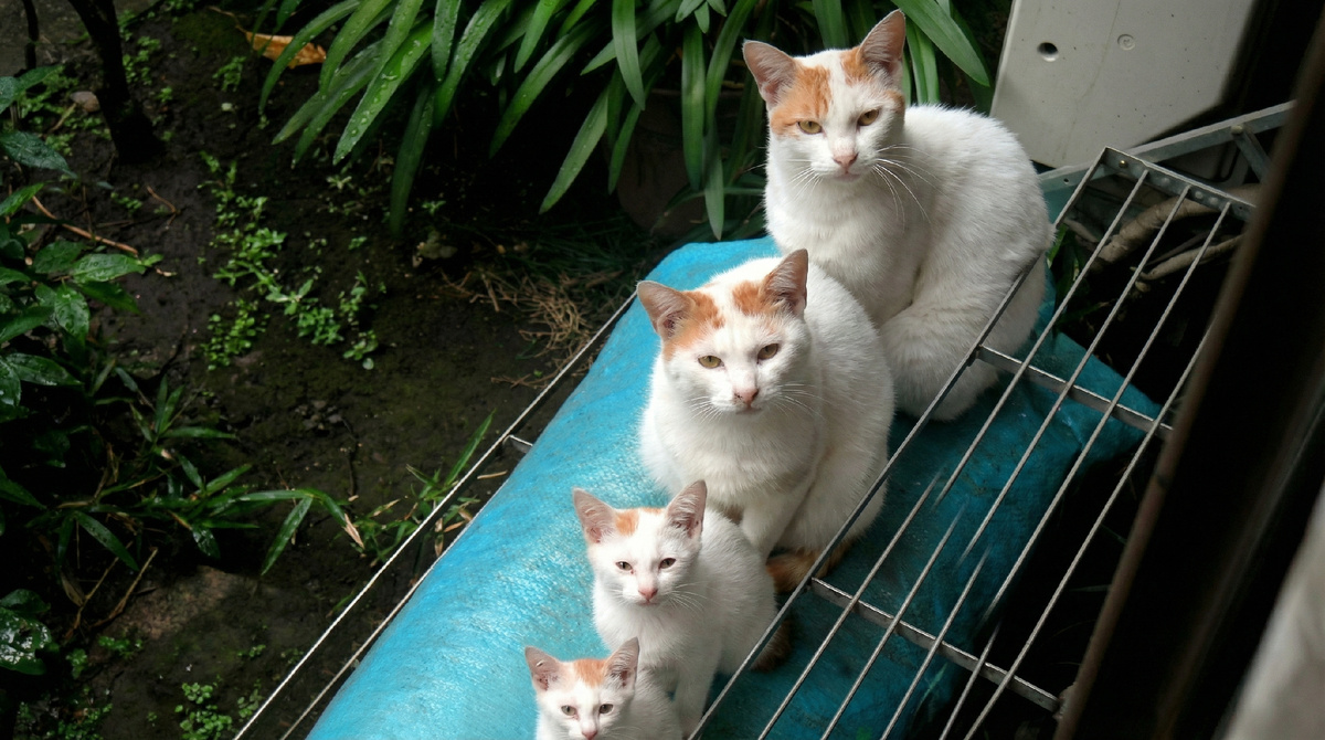 Горшочек - не вари!