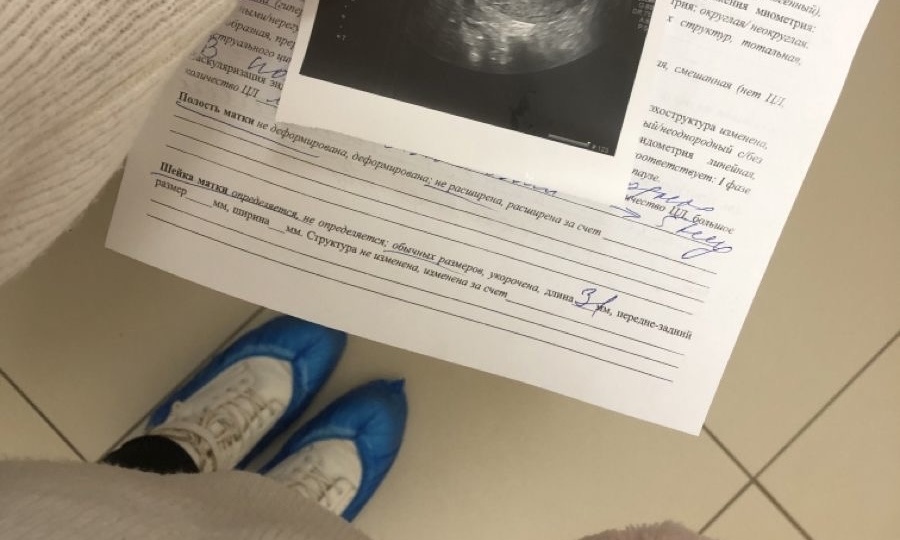 Новый порядок помощи будущим мамам: что изменилось с 2026 года?