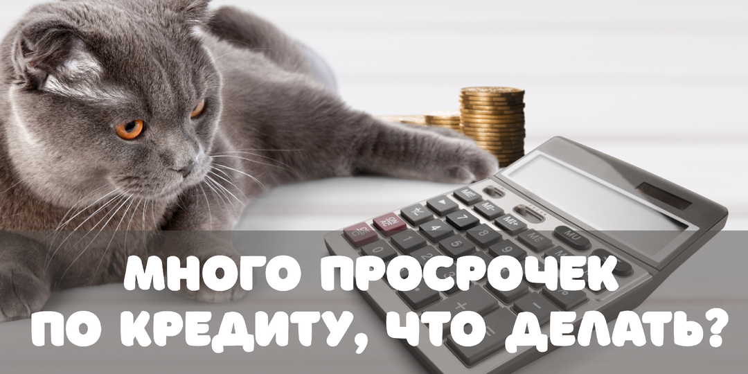 Много просрочек по кредиту, как я могу восстановить свою репутацию как заемщика?