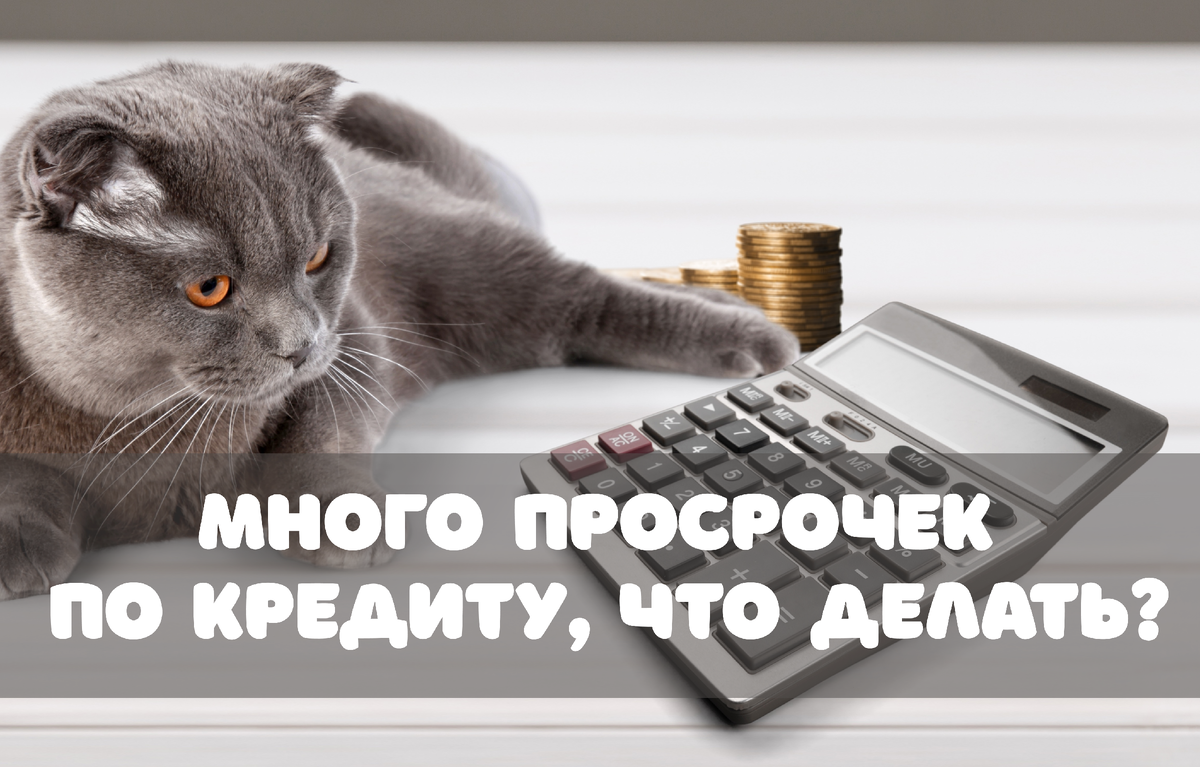 Фото: Billion Photos / Shutterstock