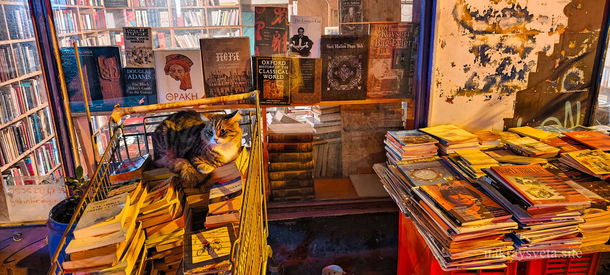 Шеф-редактор книжной лавки