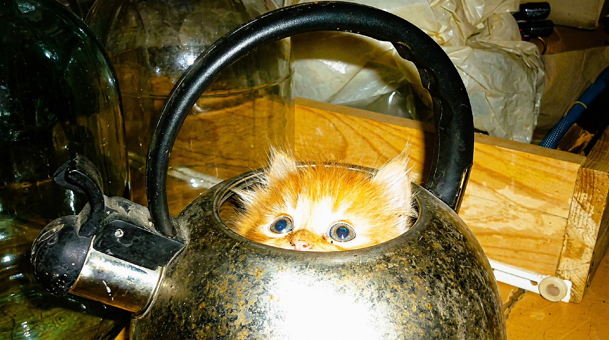 Ну а для кого же еще?!