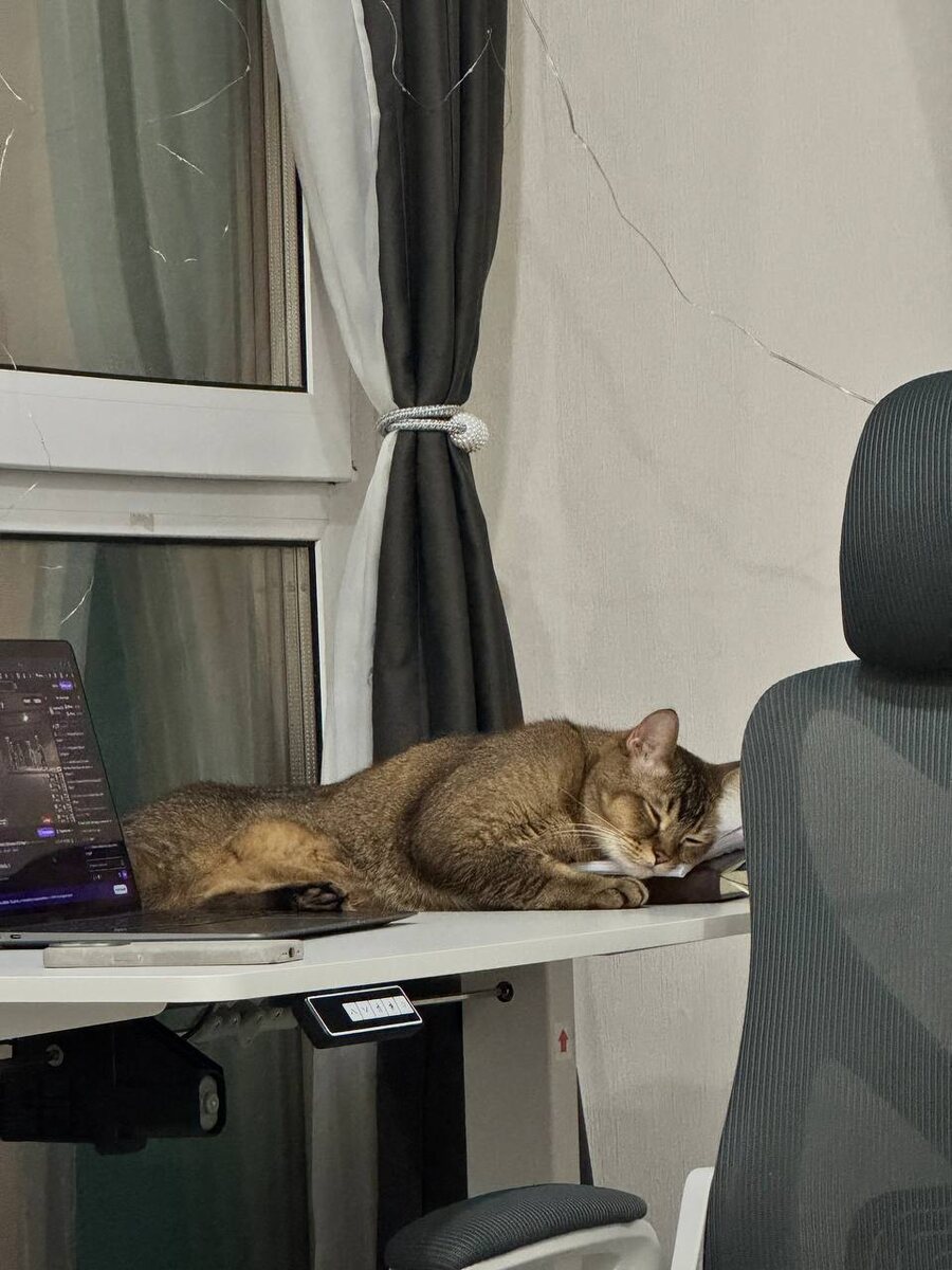 Он тоже что-то знает