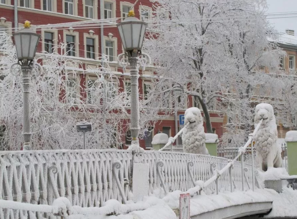 фото из открытых источников