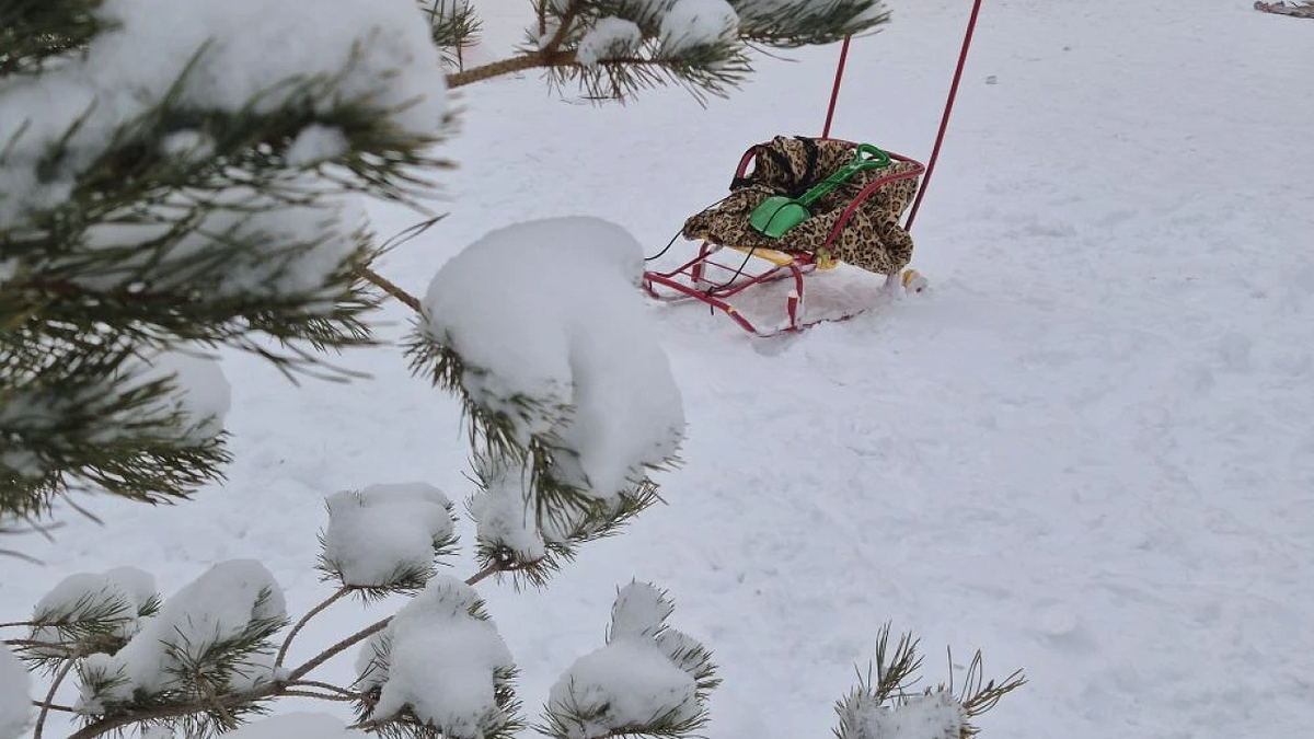    Фото: телеканал «Краснодар»