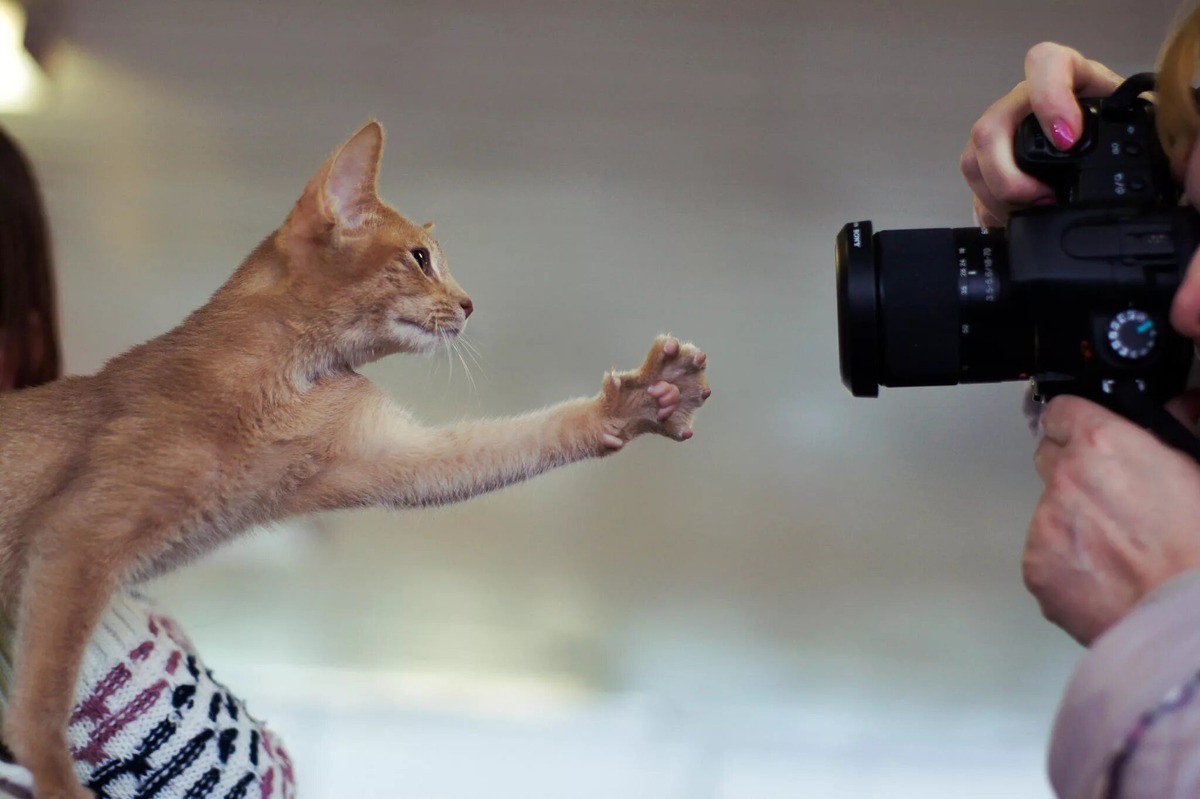 Фотография из итернета