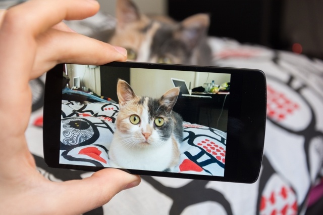 Фотография из итернета