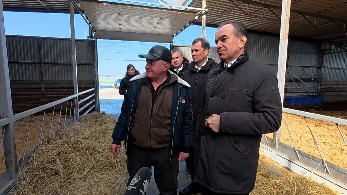    Скриншот видео телеканала «Кубань 24»