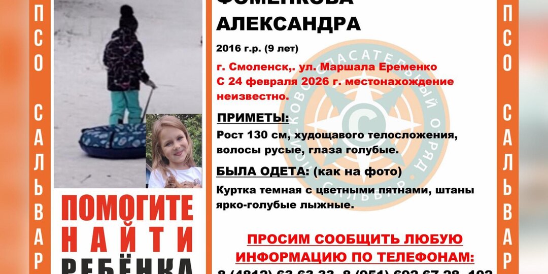 Девятилетняя девочка пропала во время прогулки с собакой в Смоленске