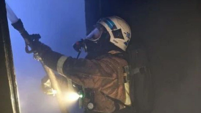 Фото: https://t.me/lenoblpozhspas/663