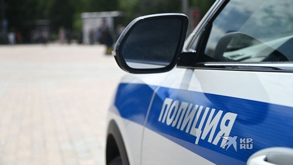 В Нижнем Тагиле полицейские разыскивают 13-летнюю школьницу