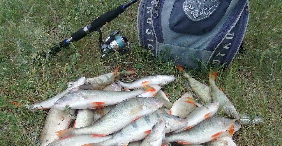 Яндекс Картинки