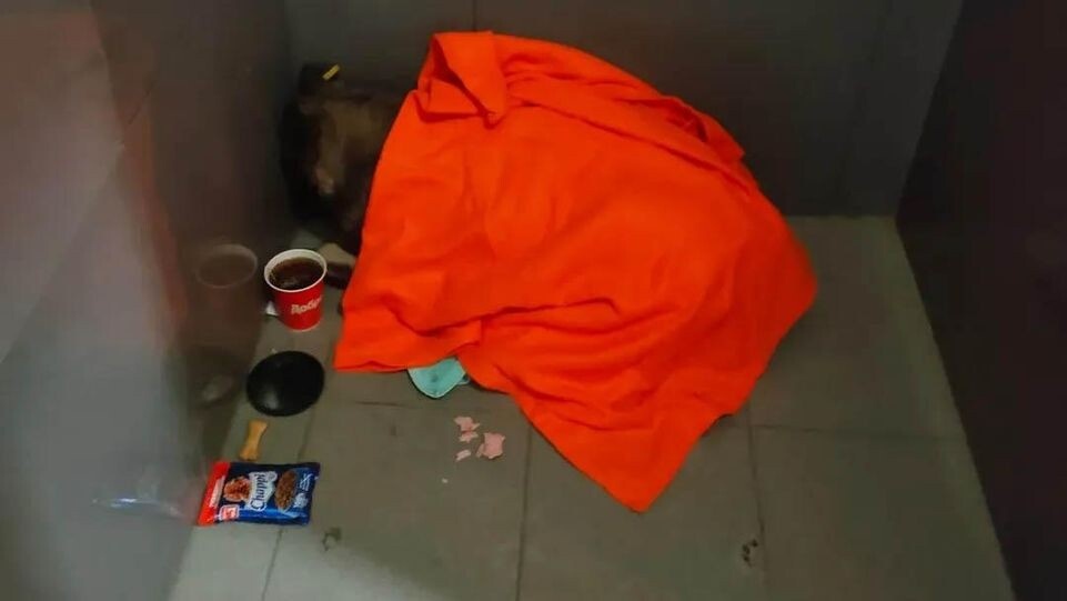 Собака раздора.