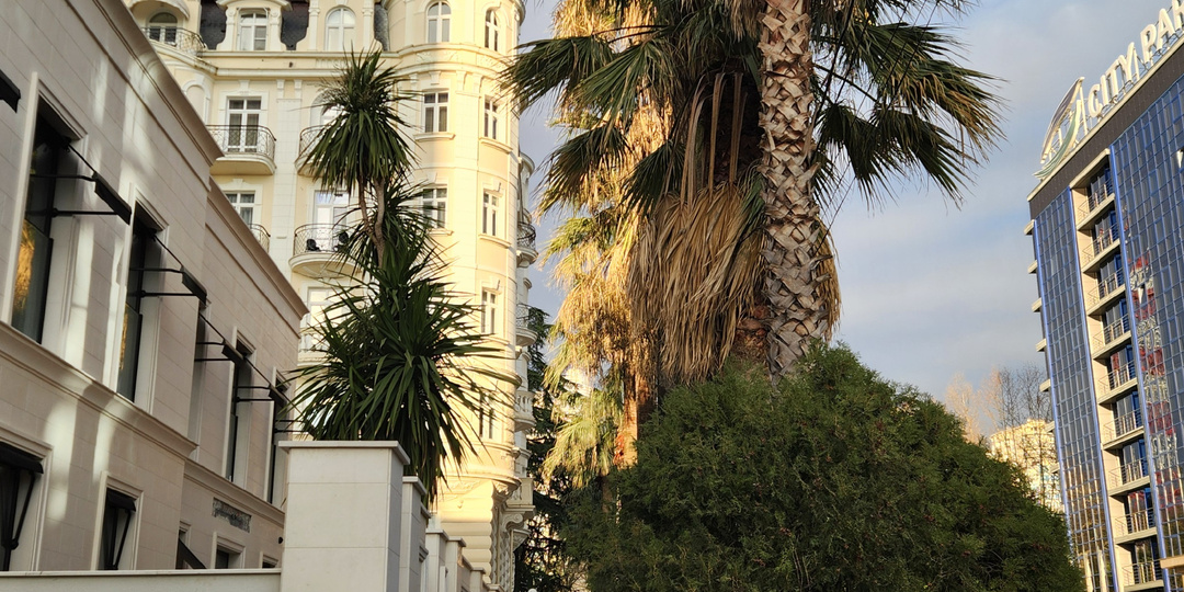 Сочинский колорит: мои впечатления от апарт-отеля "Lorren"