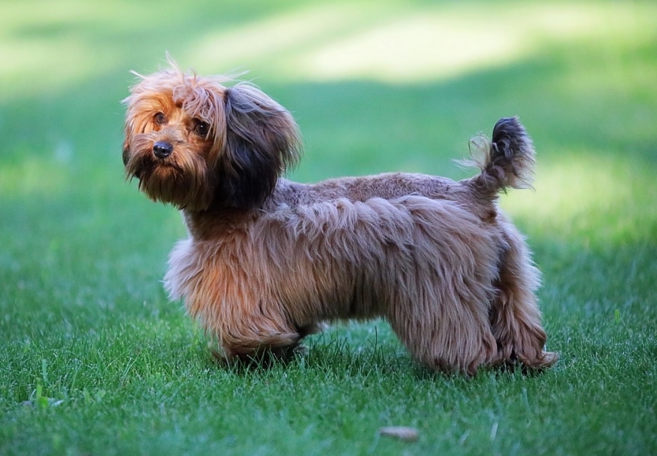 Фото: открытые источники сети Интернет