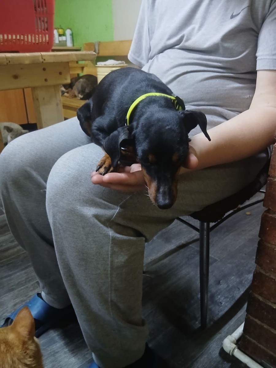 Главное найти для отдыха подходящее место или подходящего человека