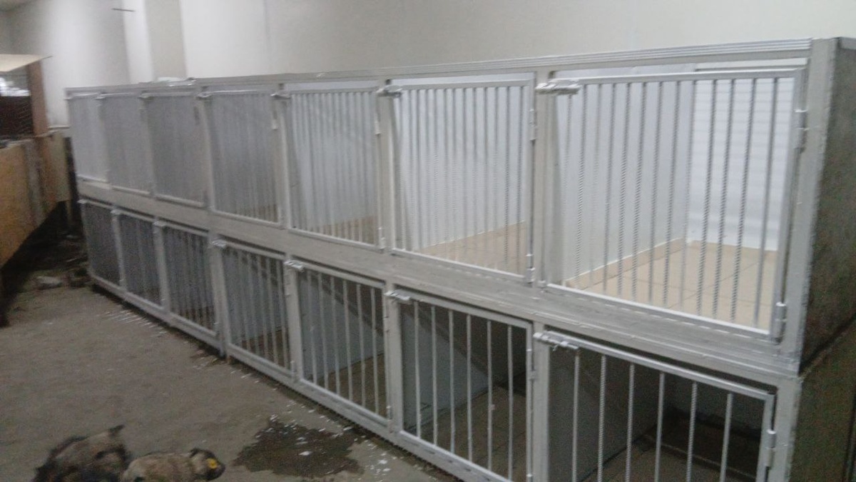  Блок новых клеток, которые сделал Денис