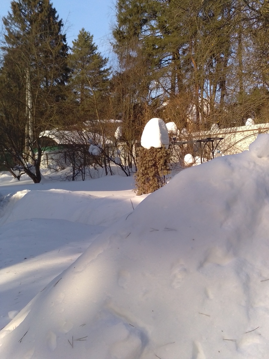 Вот такие сугробы . Фото автора. 