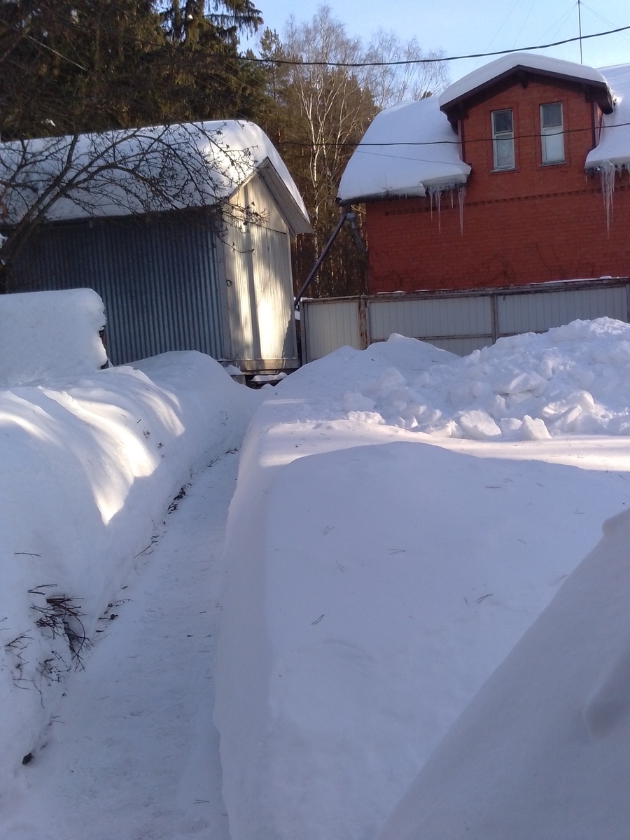 Наша дорожка. Фото автора.