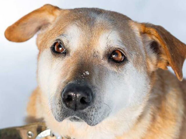    Фото: пресс-служба благотворительного фонда "Биозона"