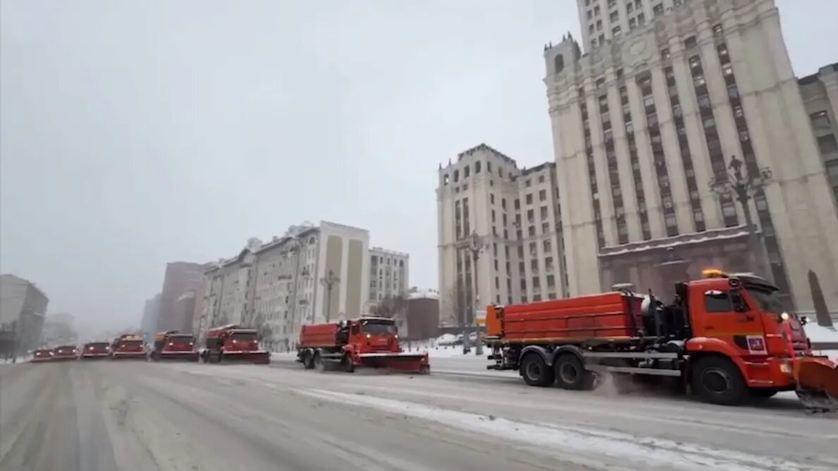    Фото: vm.ru София Васильева