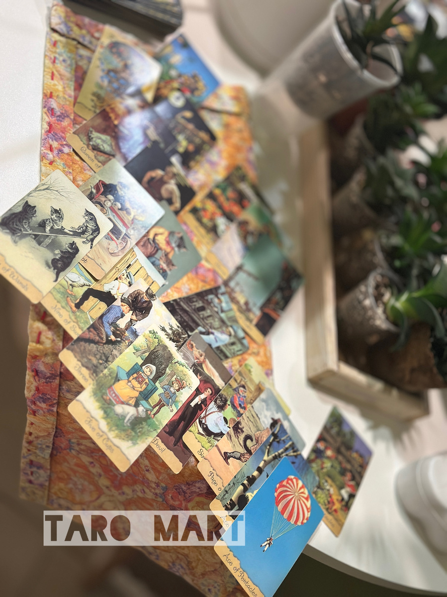 Фото из личной коллекции автора 