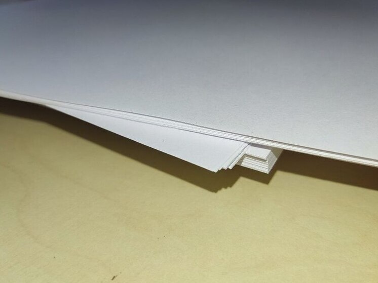     Фото: архив МК в Питере.