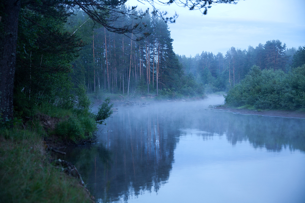 Author Anton Gorbachov. Attribution 3.0 Unported