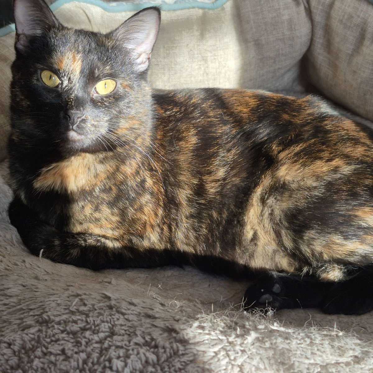 Ну красота же какая!