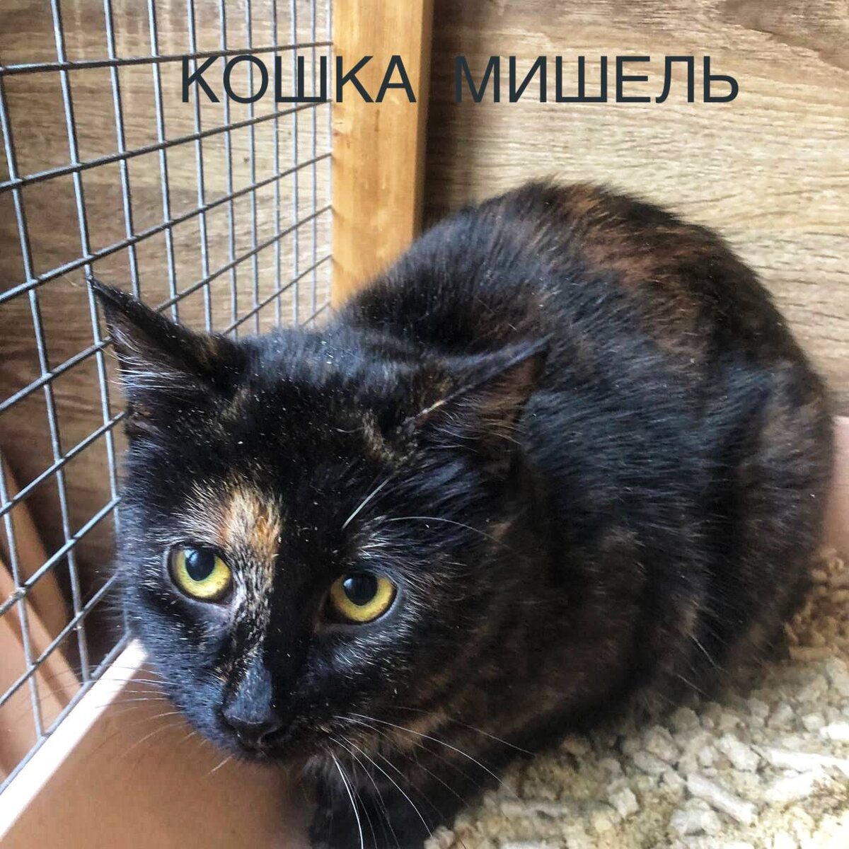 Первое фото из отлова