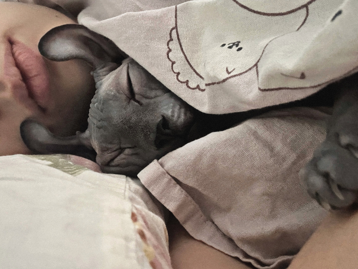 Утренние нежности